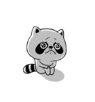BonBon Raccoon life（個別スタンプ：21）