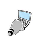 BonBon Raccoon life（個別スタンプ：33）