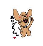 わんらぶ（個別スタンプ：1）