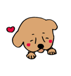 わんらぶ（個別スタンプ：7）