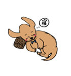 わんらぶ（個別スタンプ：15）