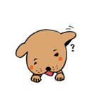 わんらぶ（個別スタンプ：29）