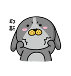 I'm cutie rabbit than dogs part II（個別スタンプ：37）