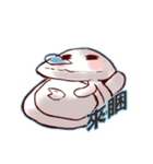 ハマグリの姉（個別スタンプ：4）
