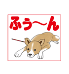 おさんぽ拒否犬（個別スタンプ：29）