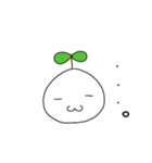 通称だいこん（個別スタンプ：20）