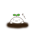 通称だいこん（個別スタンプ：29）