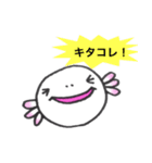 愛らしいウーパーさん（個別スタンプ：6）