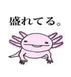 愛らしいウーパーさん（個別スタンプ：9）