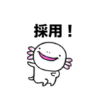 愛らしいウーパーさん（個別スタンプ：10）