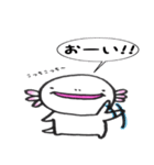 愛らしいウーパーさん（個別スタンプ：13）