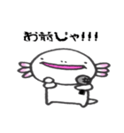 愛らしいウーパーさん（個別スタンプ：25）
