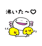 愛らしいウーパーさん（個別スタンプ：28）