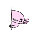 愛らしいウーパーさん（個別スタンプ：32）