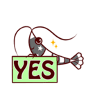 Benibachi Shrimp Official Sticker（個別スタンプ：3）
