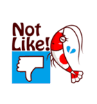 Benibachi Shrimp Official Sticker（個別スタンプ：10）