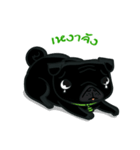 Chao-kuy ＆ Dee（個別スタンプ：31）