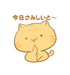 博多弁猫ちゃん（個別スタンプ：3）