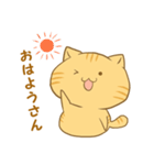 博多弁猫ちゃん（個別スタンプ：11）