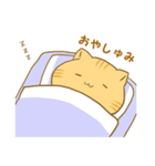 博多弁猫ちゃん（個別スタンプ：12）