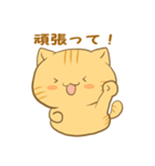 博多弁猫ちゃん（個別スタンプ：16）