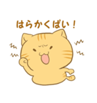 博多弁猫ちゃん（個別スタンプ：23）