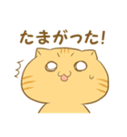 博多弁猫ちゃん（個別スタンプ：25）