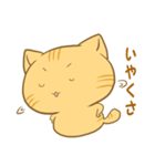 博多弁猫ちゃん（個別スタンプ：28）