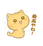 博多弁猫ちゃん（個別スタンプ：40）
