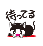 猫のコタロー（個別スタンプ：19）