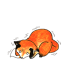 Quick orange fox（個別スタンプ：11）