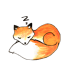 Quick orange fox（個別スタンプ：22）