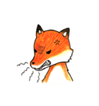 Quick orange fox（個別スタンプ：26）