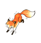 Quick orange fox（個別スタンプ：28）