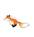 Quick orange fox（個別スタンプ：30）