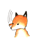 Quick orange fox（個別スタンプ：35）