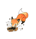 Quick orange fox（個別スタンプ：36）