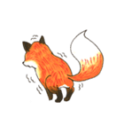 Quick orange fox（個別スタンプ：40）