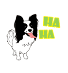 VVPet's Papillon＆Phalene Friends（個別スタンプ：2）