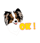 VVPet's Papillon＆Phalene Friends（個別スタンプ：7）