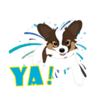 VVPet's Papillon＆Phalene Friends（個別スタンプ：17）