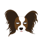 VVPet's Papillon＆Phalene Friends（個別スタンプ：25）