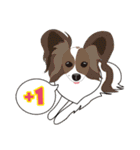 VVPet's Papillon＆Phalene Friends（個別スタンプ：27）