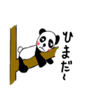 pandas life（個別スタンプ：3）