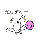 白いザリガニ（個別スタンプ：19）