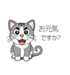 めちゃ可愛い猫（個別スタンプ：1）
