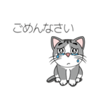 めちゃ可愛い猫（個別スタンプ：16）