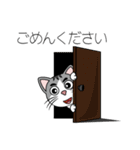めちゃ可愛い猫（個別スタンプ：19）
