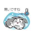 めちゃ可愛い猫（個別スタンプ：24）