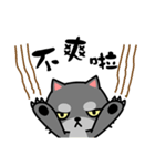 小さな黒猫 Tin-Tin  2（個別スタンプ：9）